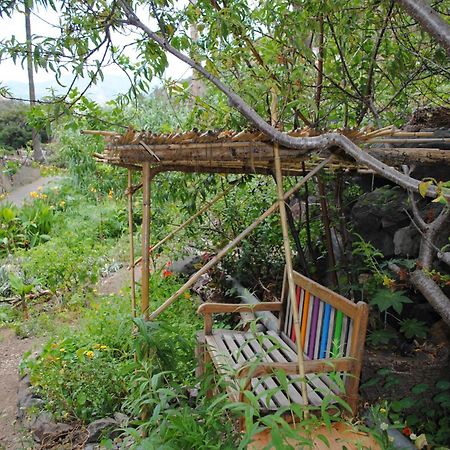 Hostal Casa Amaya 바예에르모소 외부 사진